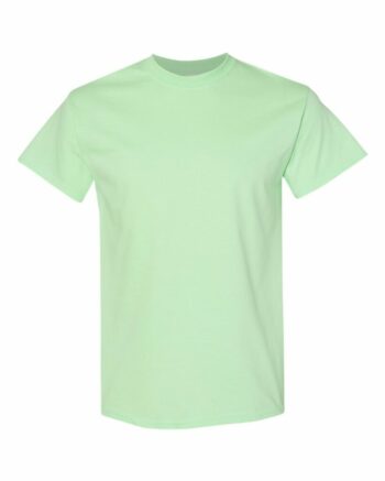 Gildan_5000_Mint_Green_Front_High.jpg